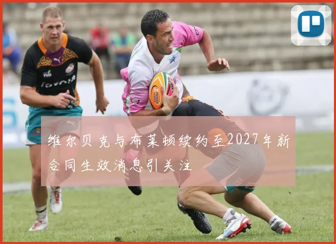 维尔贝克与布莱顿续约至2027年新合同生效消息引关注